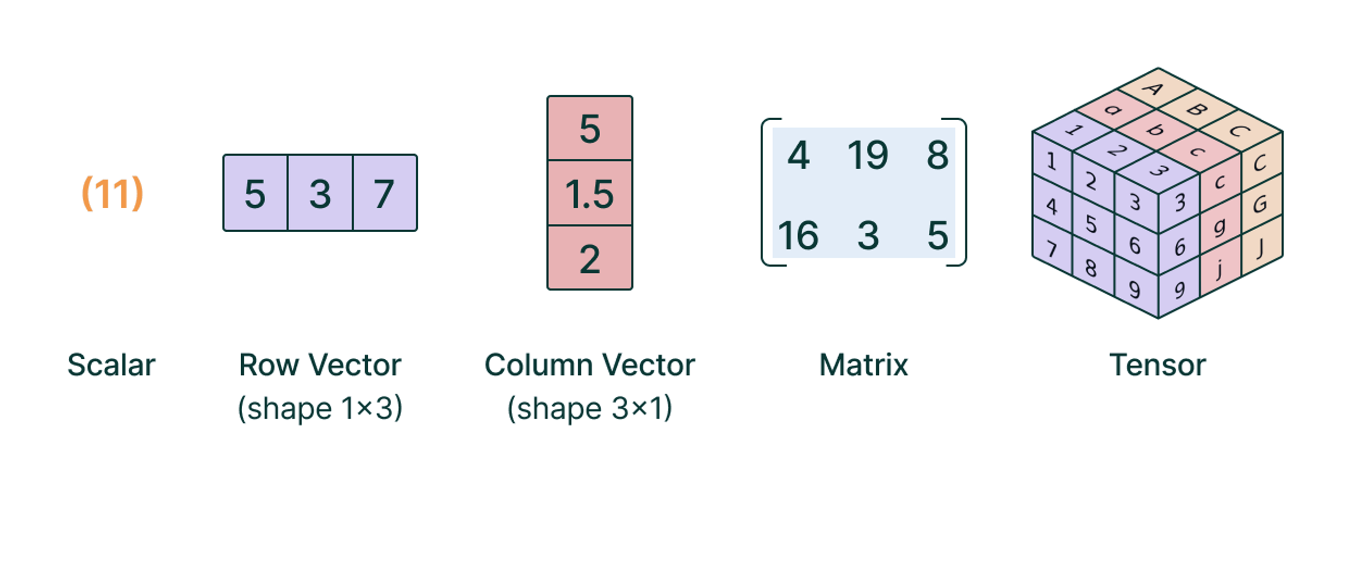Tensor